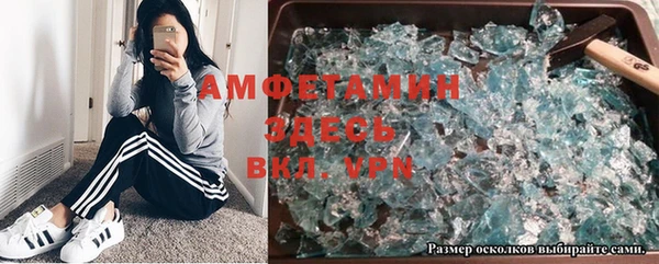 индика Алексеевка